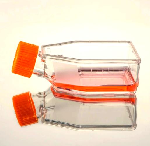 生物实验室培养架上的哺乳动物细胞培养瓶