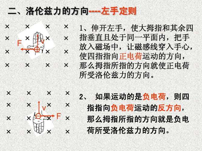 高中物理洛伦兹力电场力受力分析示意图