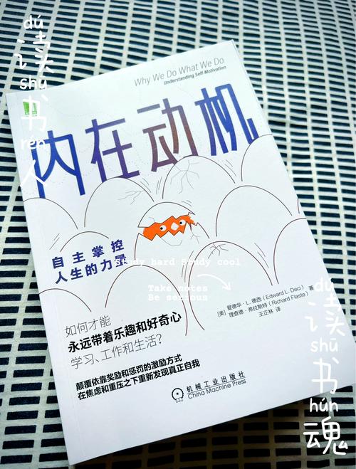 你的动机，决定了第一门语言