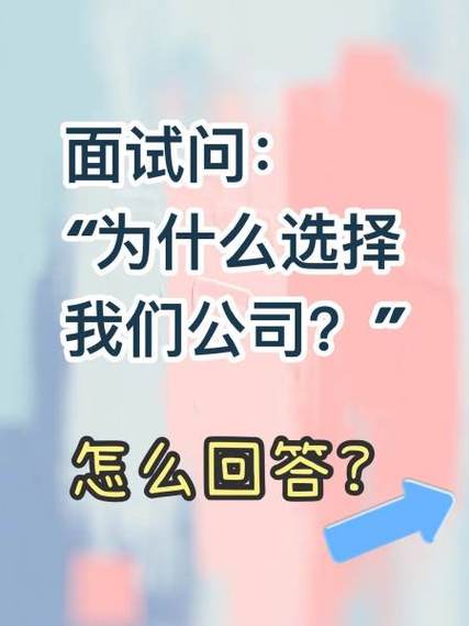 为什么现在要把择业试错摆到台面上说?