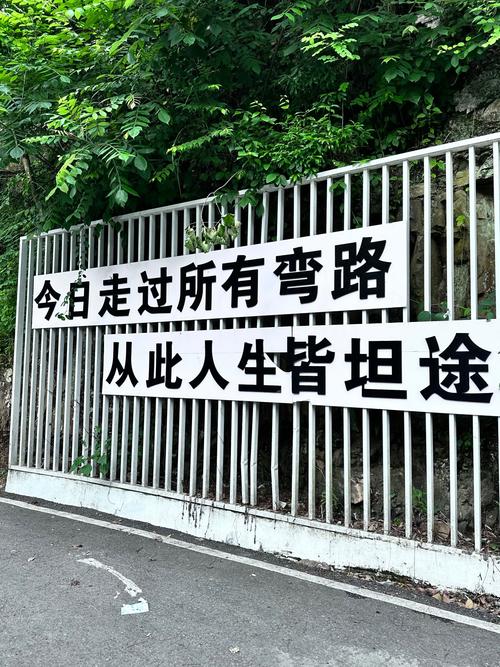 四、这条路并不太平，但值得走