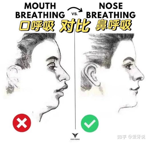 正确错误呼吸方式对比示意图