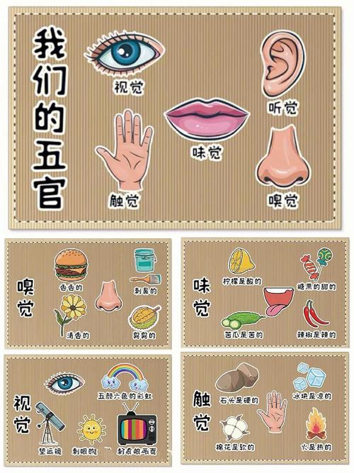 儿童感官协同工作原理认知图