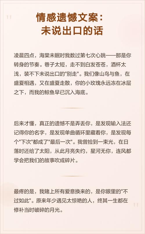 没说出口的话