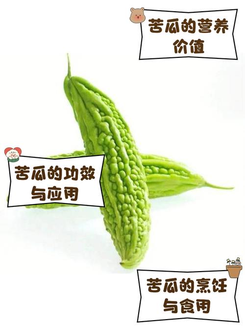 甜瓜、丝瓜、苦瓜:各怀鬼胎