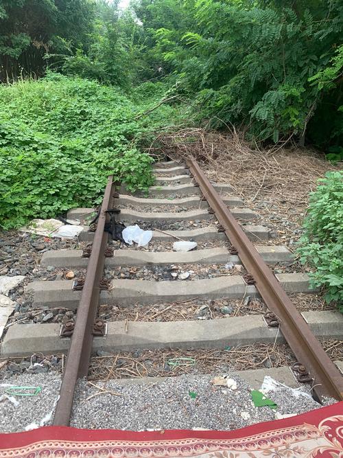 旧铁路晨跑小径