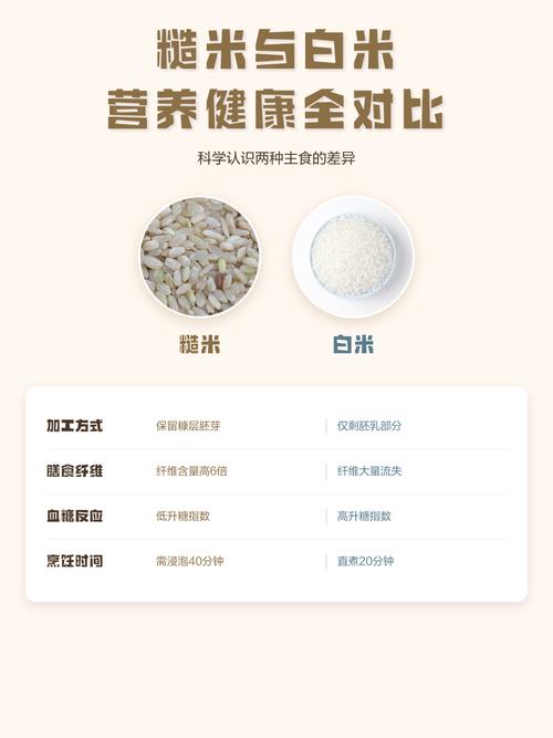 糙米白米营养对比示意图