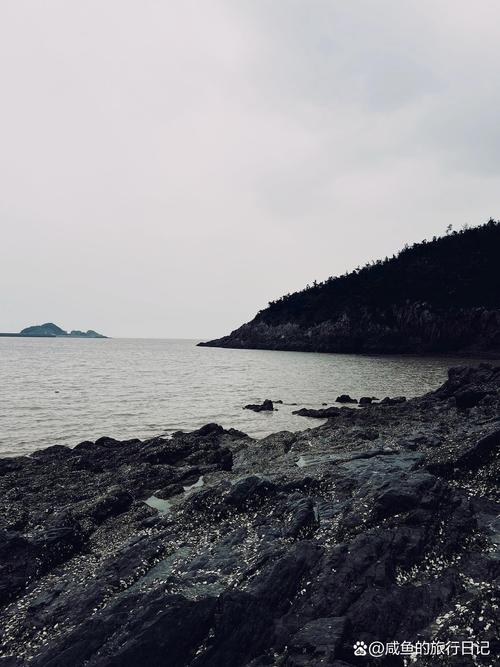 进口替代浪潮下，藏着很多人没说破的暗礁