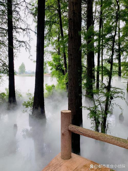 东湖落雁景区九曲桥水雾