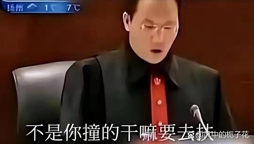 别指望法官替你查真相,他只看你递上来的东西