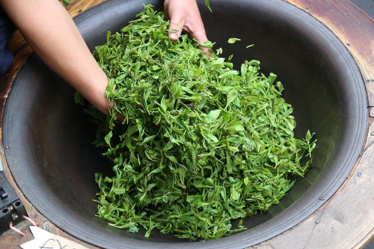 池州老茶农用传统铁锅手工炒制雾里青茶
