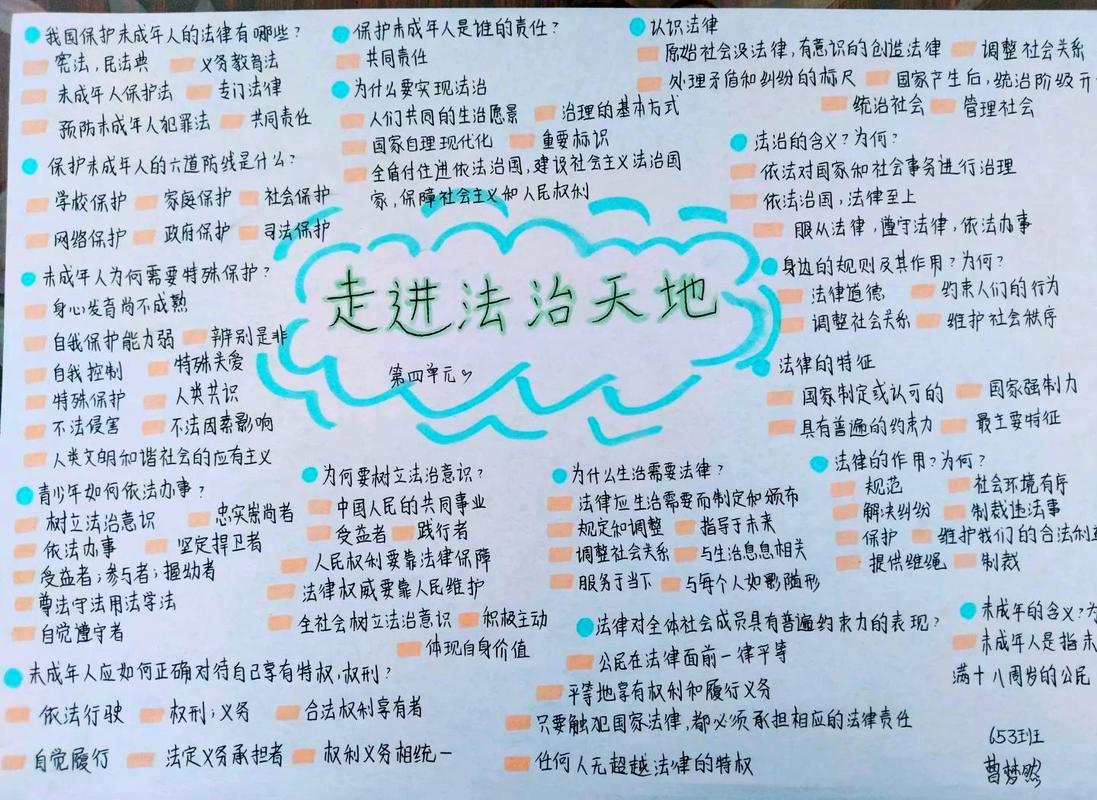 未成年人维权法律流程思维导图