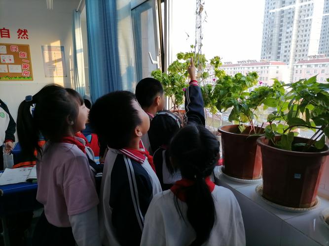 观察植物生长：蹲在楼下花坛边的27分钟，没人催她赶课