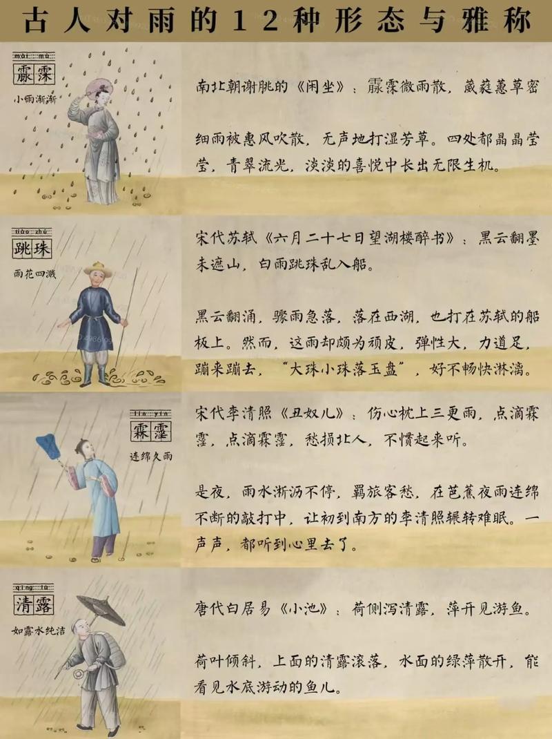 文学与记忆的雨