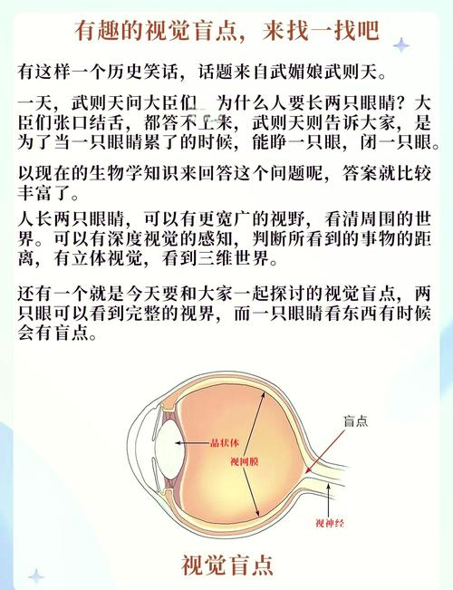 盲眼的生物与时间的盲点