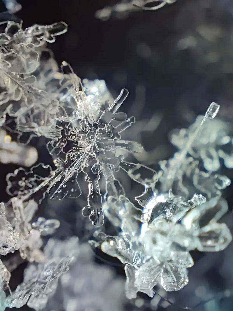 霜花：冬天最后的浪漫，还是物理课的活教材？-因为所以