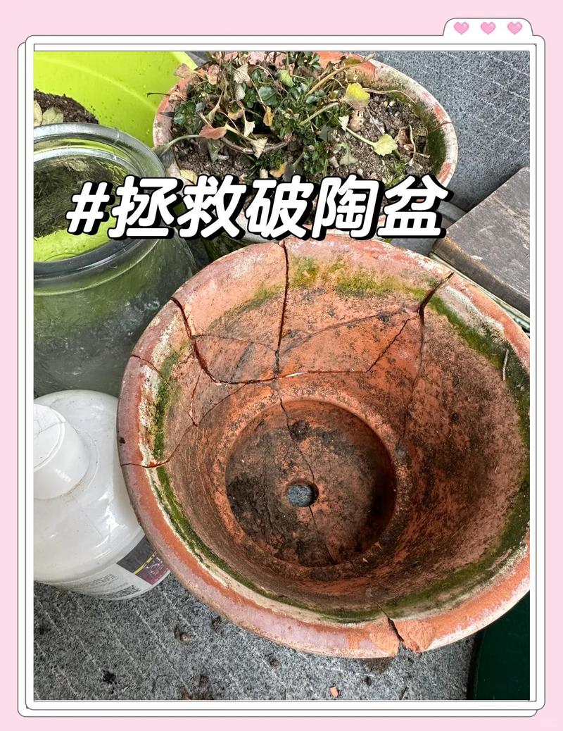 带小破损的旧盆,改一改照样好用