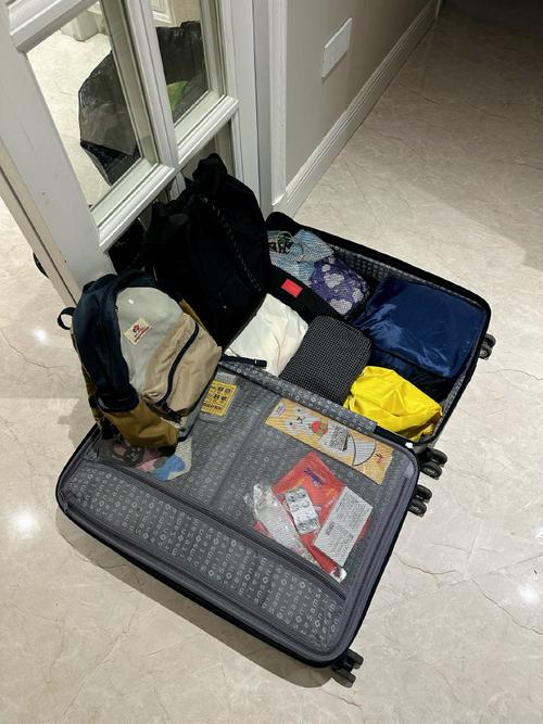 未分区收纳的杂乱行李箱实拍