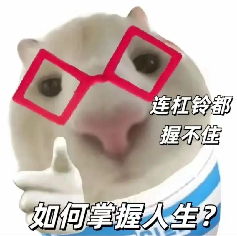 健身教程:新手去健身房,到底该怎么开始?-我问答网