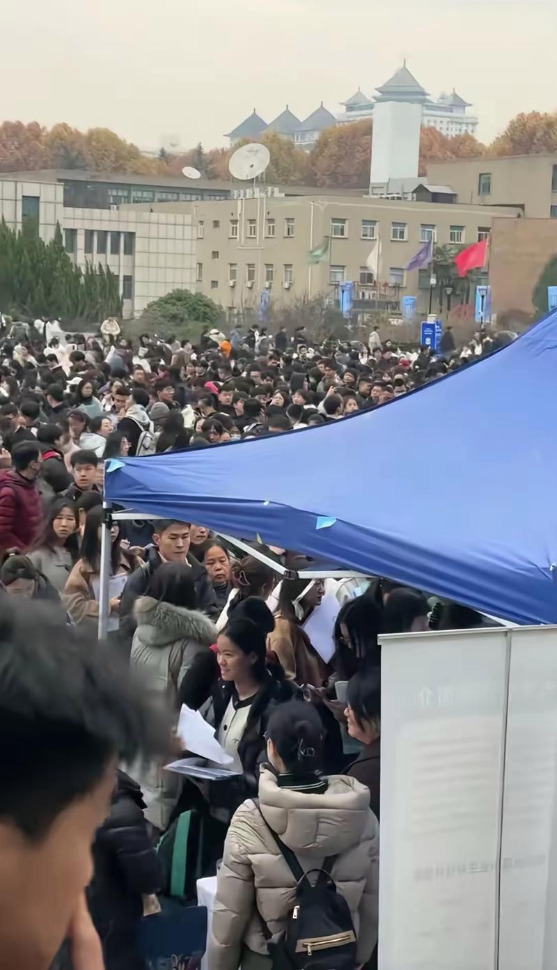 我在招聘会上看到的撕裂