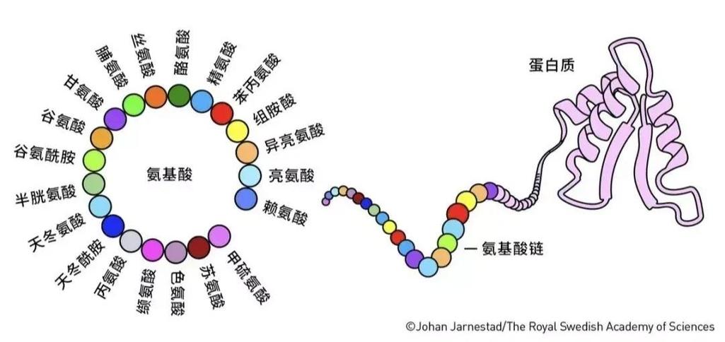 人机协同技术：当AI成为你的科研搭子，你准备好了吗？