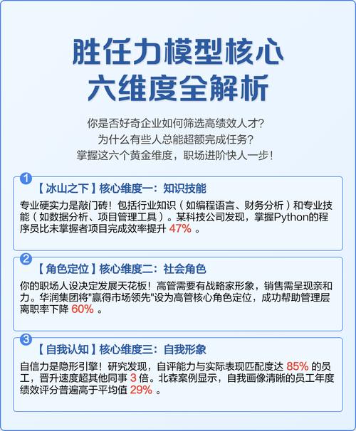 专业主体核心维度对比