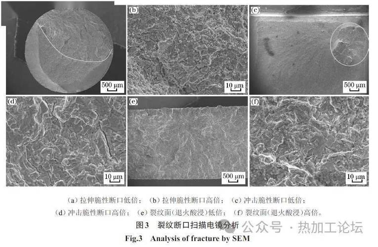 超高强度钢脆断失效断面扫描电镜图