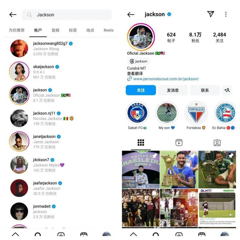 海外品牌Instagram账号主页内容分类界面