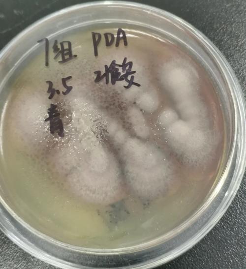 保存不当,你就是买了个霉菌培养皿