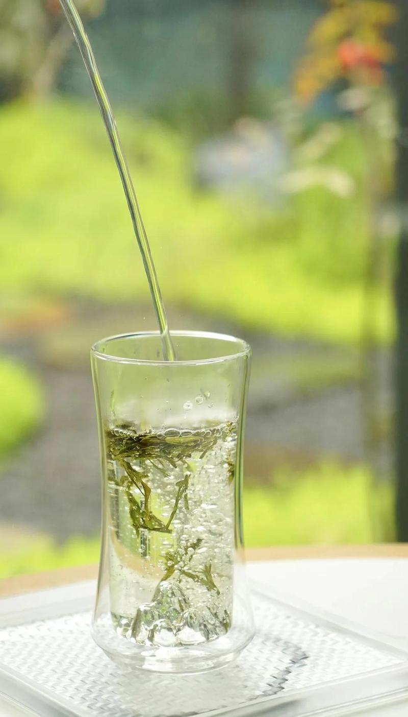 玻璃壶中80℃水温冲泡明前龙井的茶芽舒展特写
