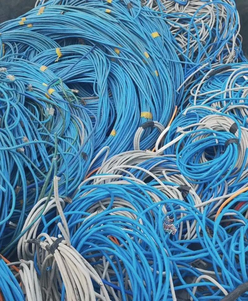 Profinet还是Profibus？一个老工程师的真心话