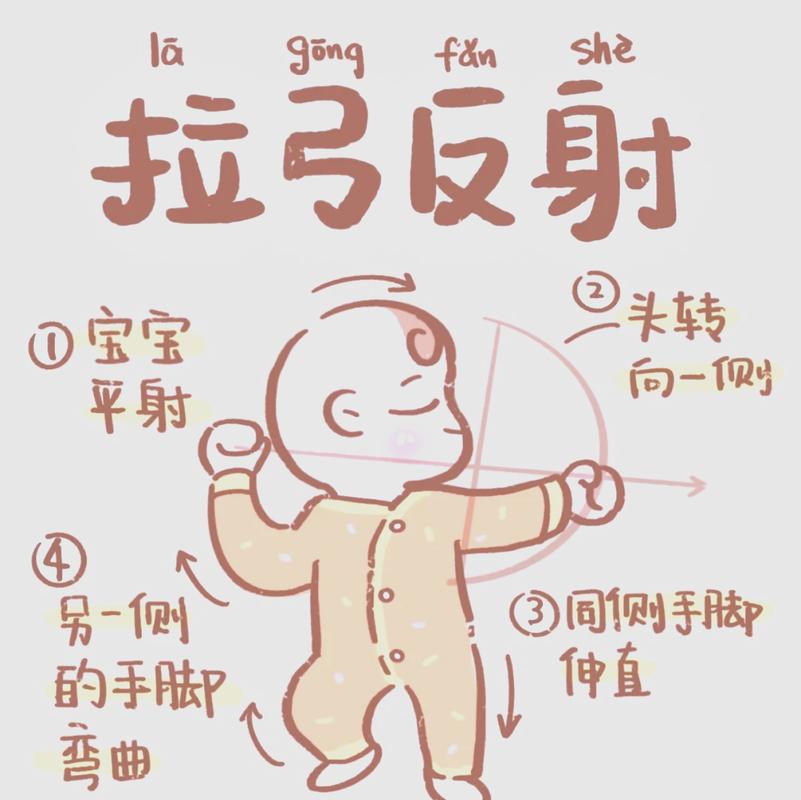 关于原始反射,你可能还想问