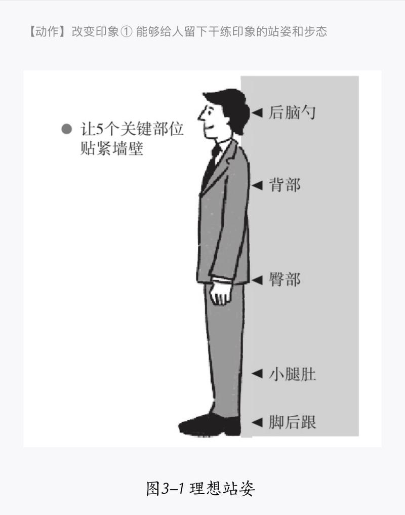 标准站立办公姿势人体示意图