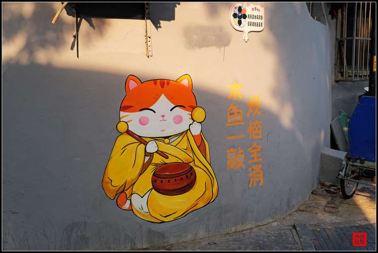 沈阳铁西区启工街工人村碎砖院墙猫涂鸦