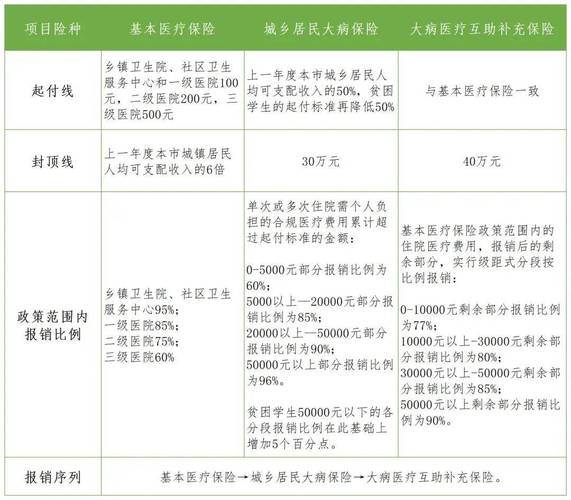 保险条款特殊项目报销比例示例图