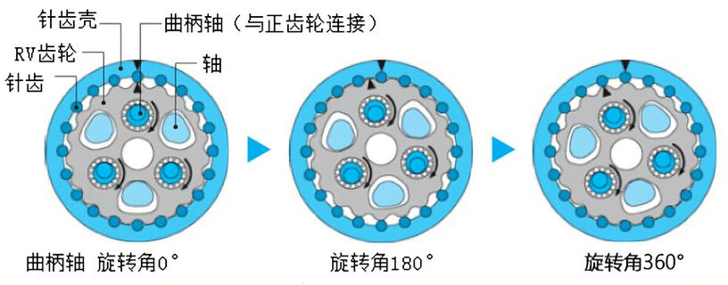 工业机器人RV减速机内部摆线轮与曲柄轴结构