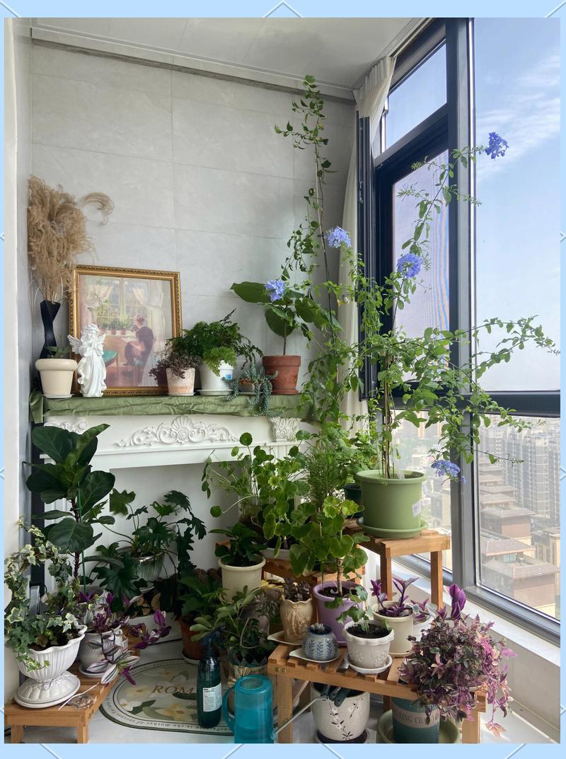 打造一个绿植休憩角?避开这些坑