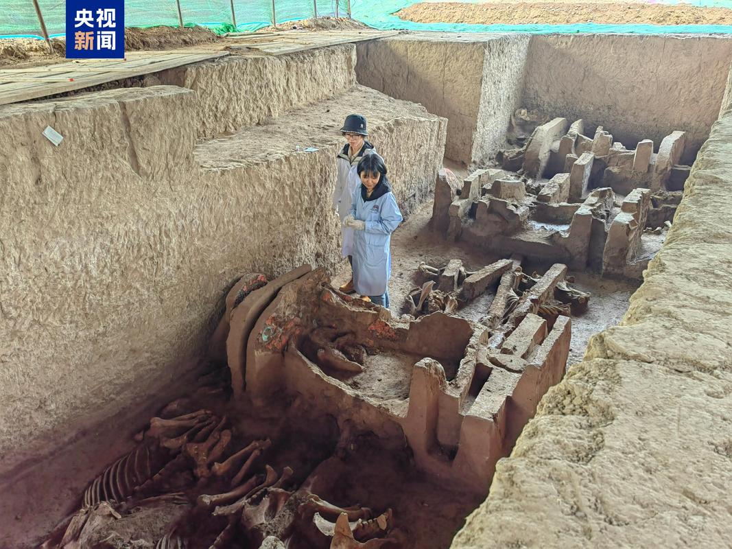 工程施工发现唐代古墓葬考古现场图