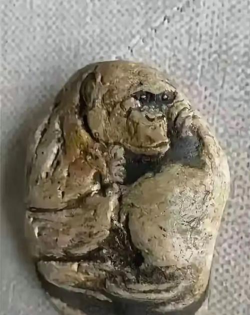 为什么一块破石头,值得法律下狠手?