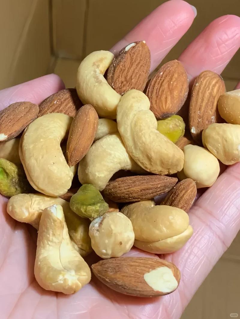 日常常见原味可食用坚果实拍图