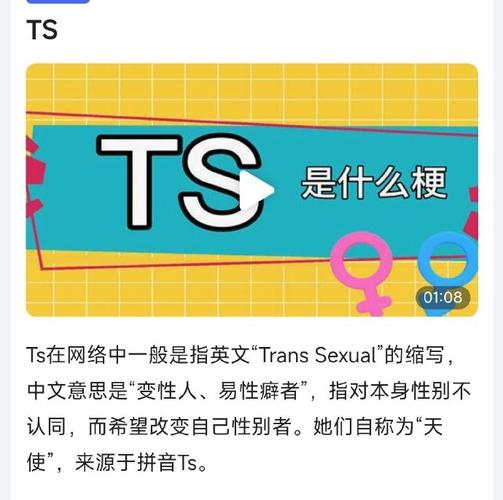 他从来没说过TS有多好