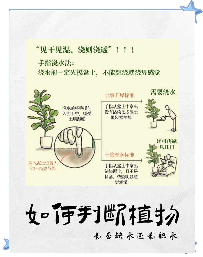 盆栽绿植土壤湿度判断示意图