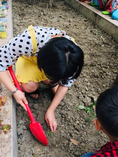 小区花坛边大人小孩蹲着想挖泥土种番茄的实拍图