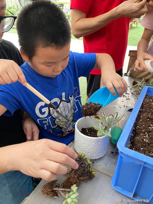 小学生劳动周校园种植多肉植物活动场景