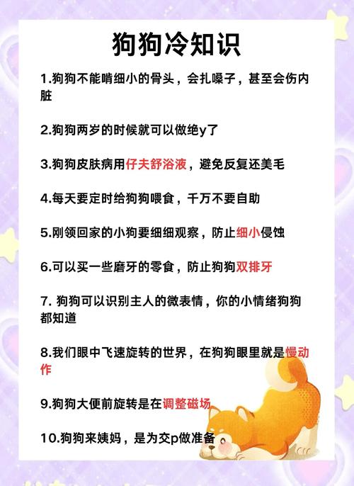 整理了10个大家问得最多的萌宠日常相关问题