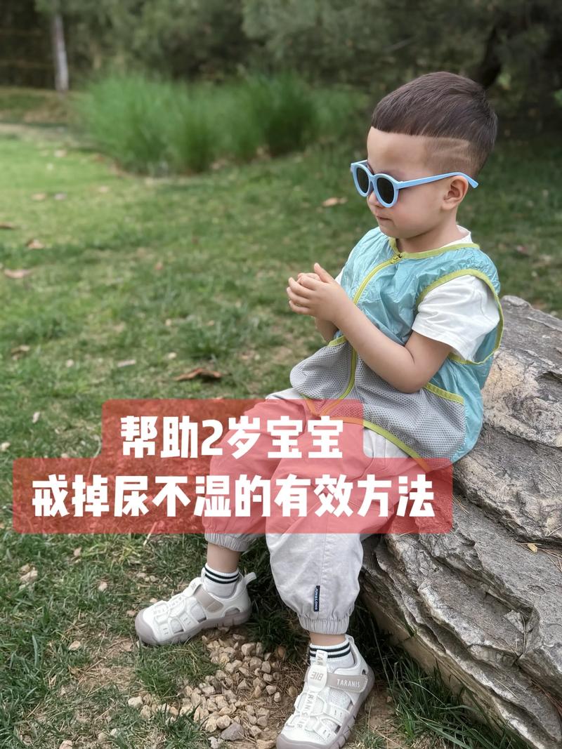 婴幼儿膀胱括约肌发育阶段对比图