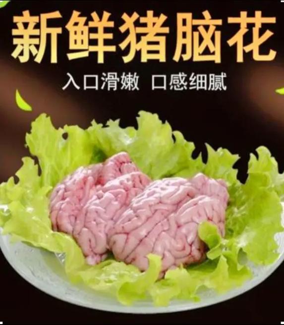 WMS:大脑不能是猪脑