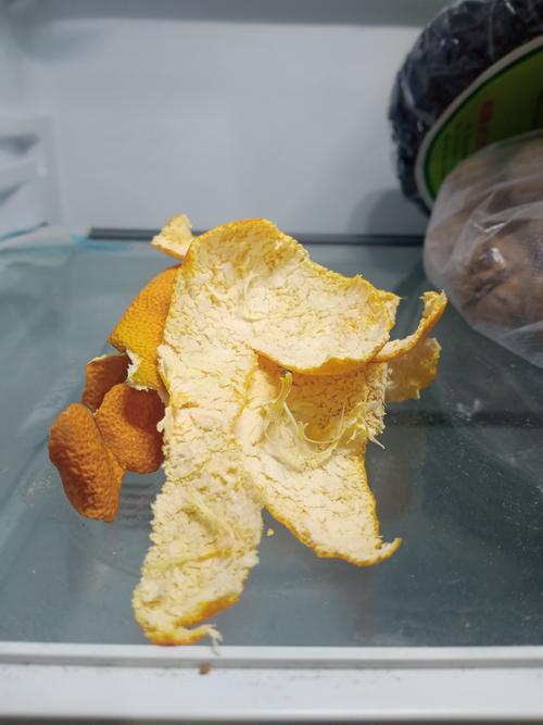 橘子皮放在冰箱角落除味场景图