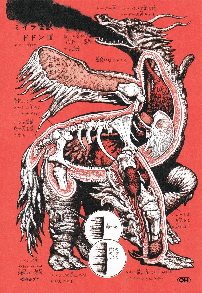 一头怪兽？不，是逻辑集中到极致的产物