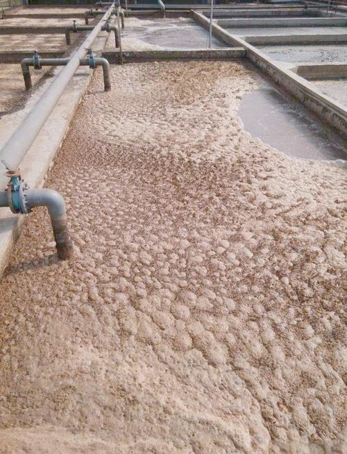 活性污泥好氧池泡沫堆积